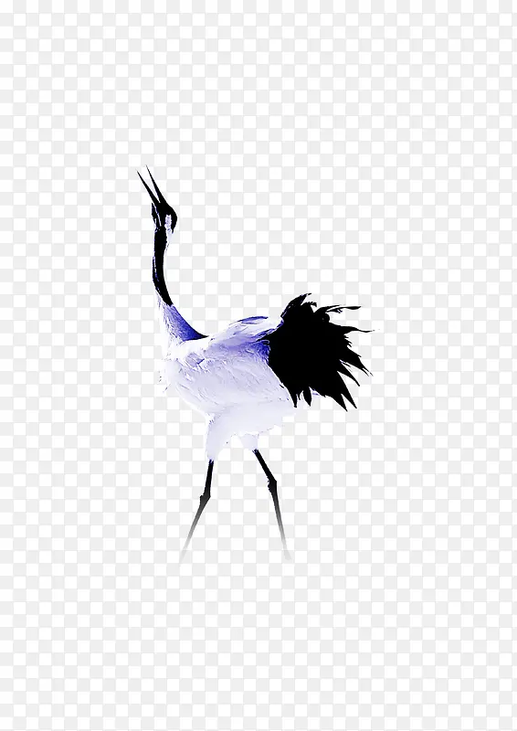鸵鸟