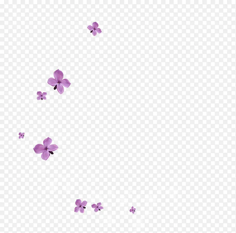 漂浮紫色花瓣