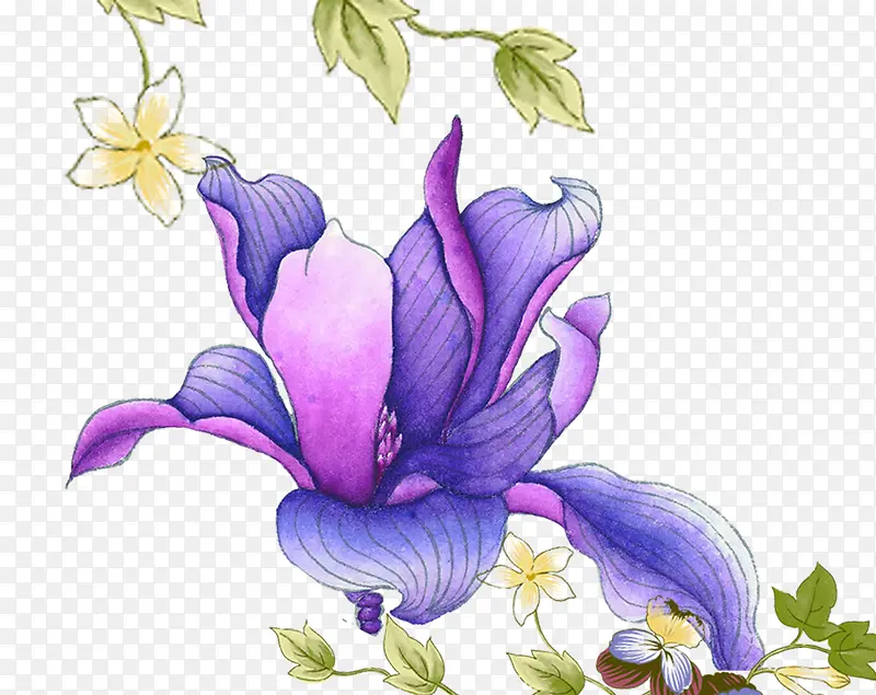紫色花惠