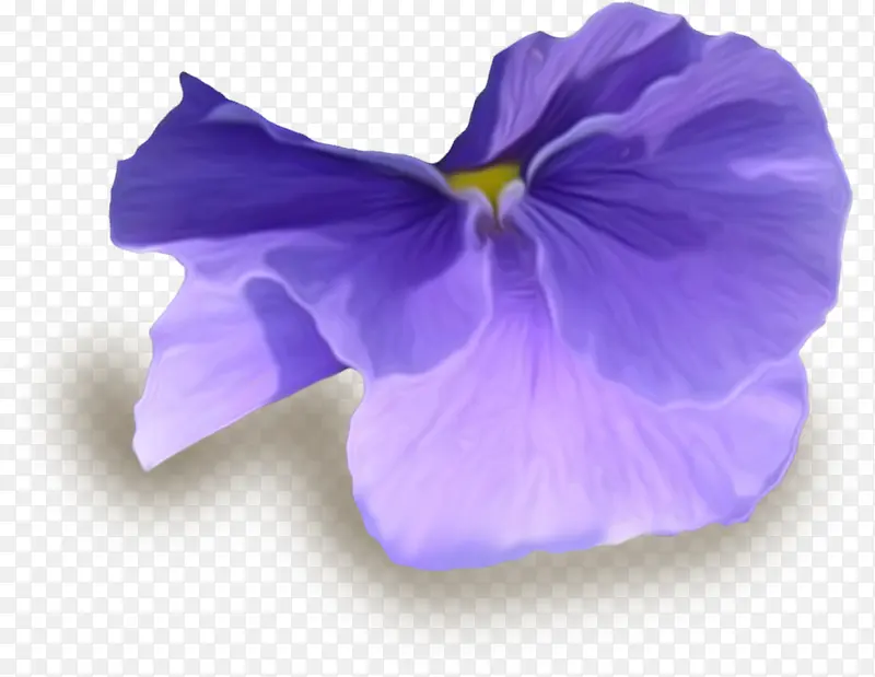 紫色漂亮花朵