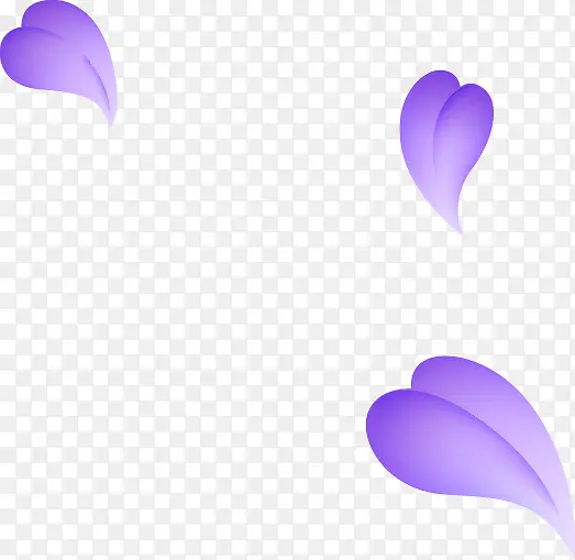 紫色精美花瓣