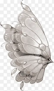 蝴蝶png素材