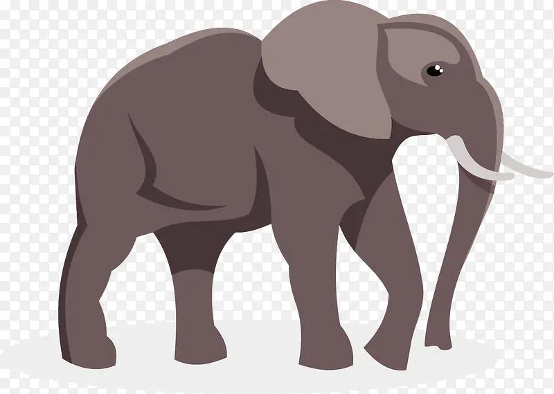 矢量大象插图