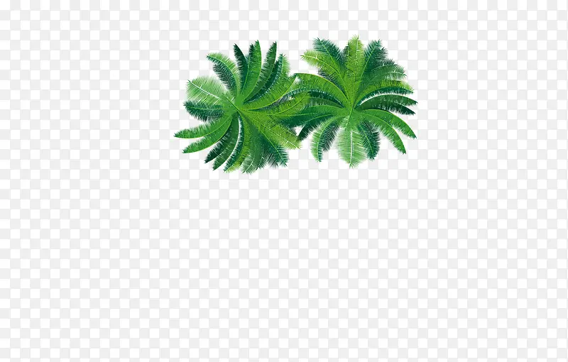 椰树，海边，度假，植物