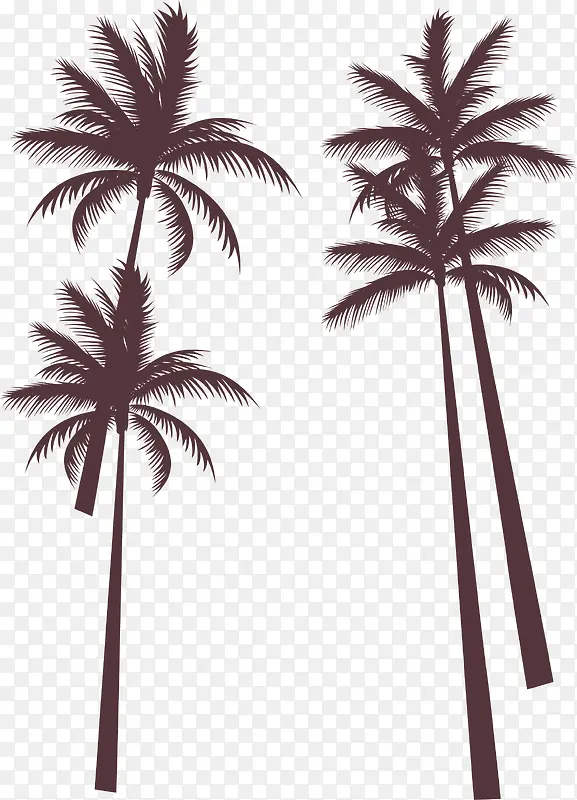 夏天海边度假椰子树