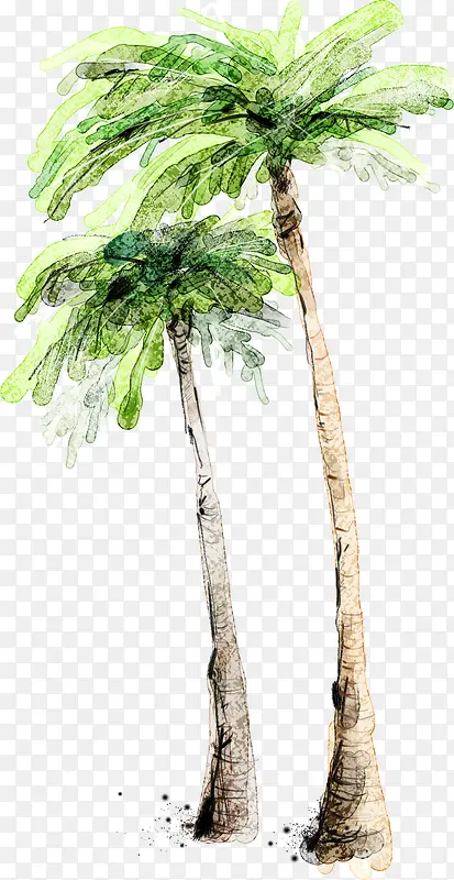 沙滩海边插画植物绿色椰子树