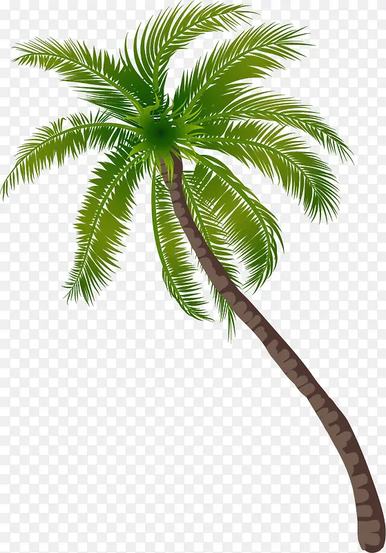 沙滩椰子树图案