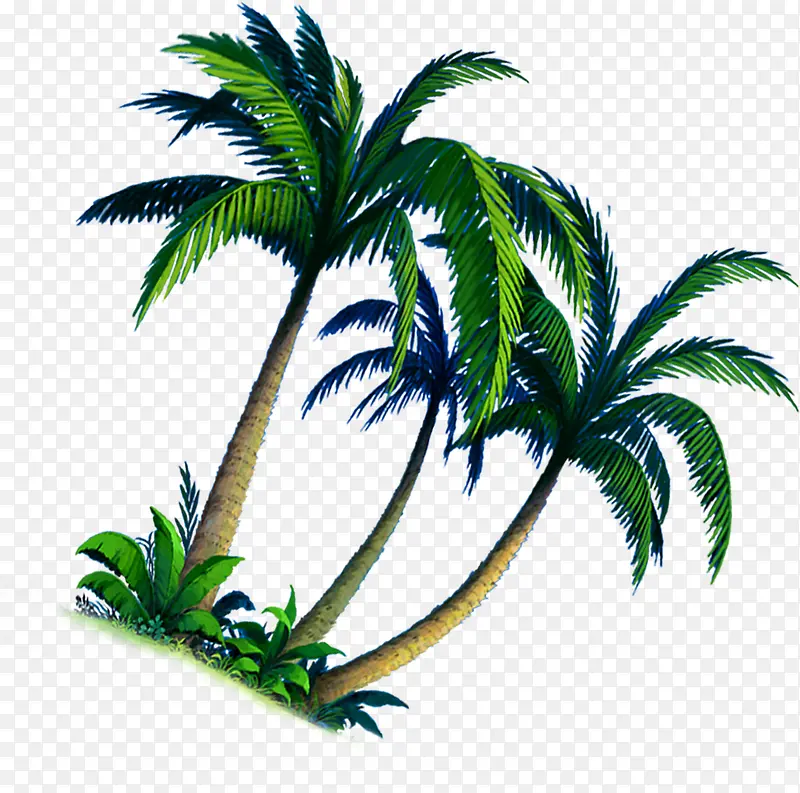 手绘植物卡通沙滩海边椰子树