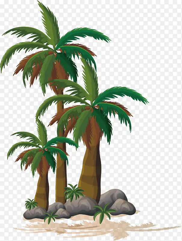 热带椰子树装饰