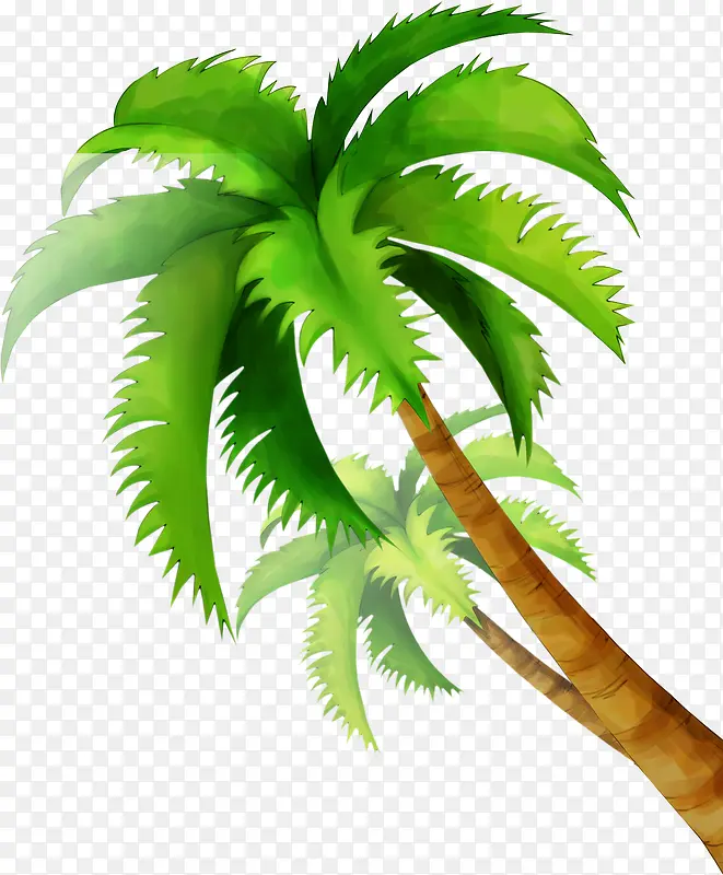海边椰树主题素材