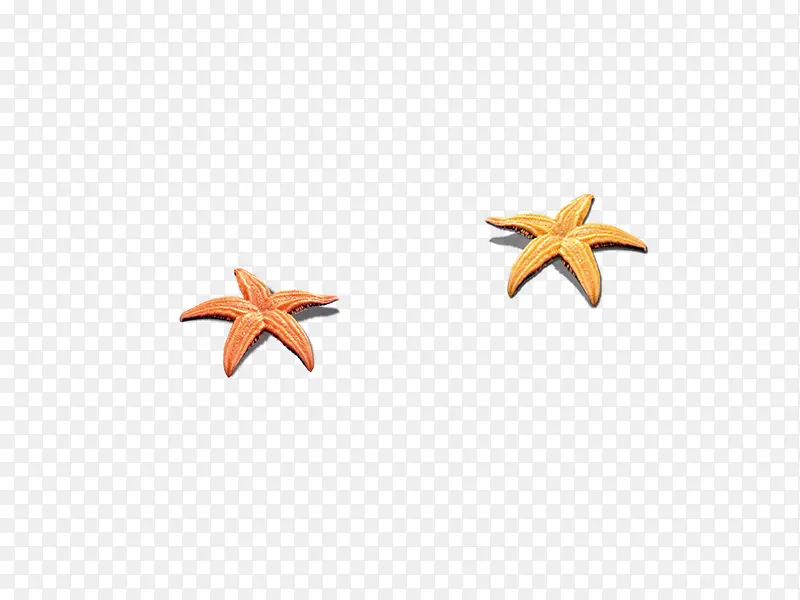 海星