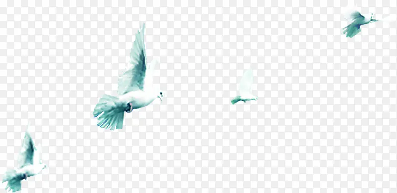 在海边自由飞翔的白色海鸥