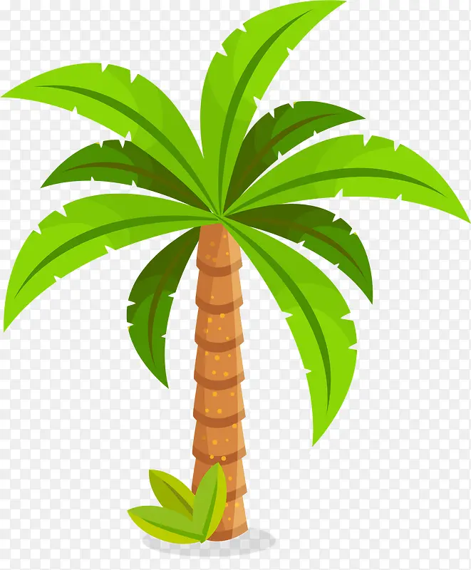 矢量图手绘椰子树