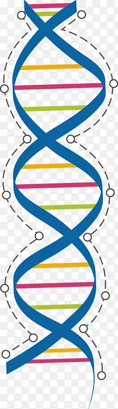 彩色DNA