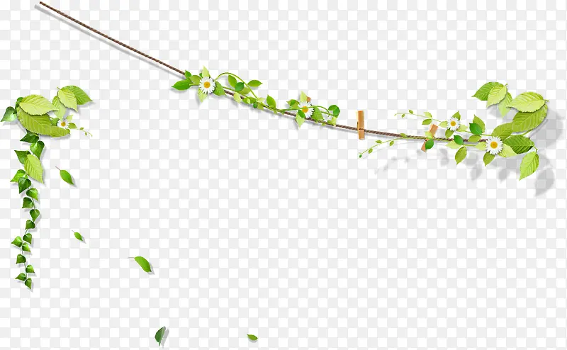绿色清新树藤植物