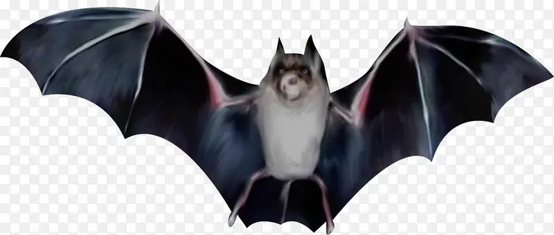 手绘万圣节飞翔的蝙蝠