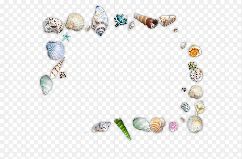 各种海螺，贝壳，沙滩，大海