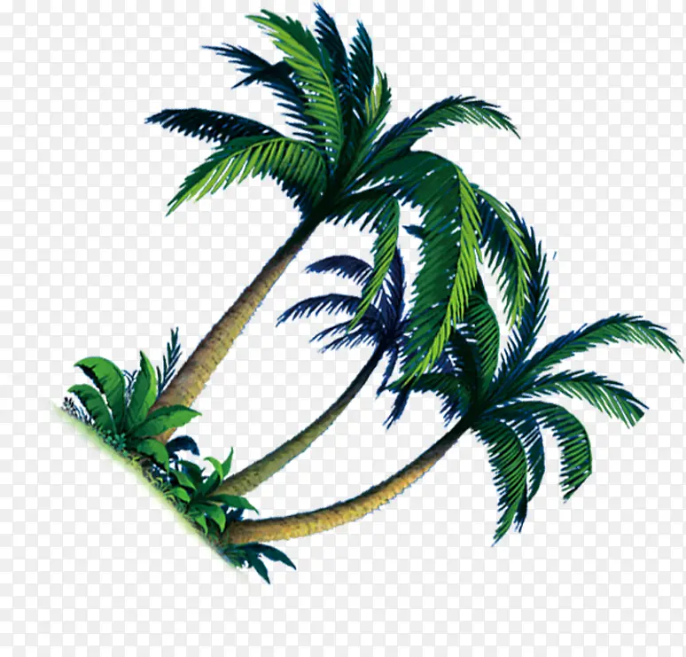 沙滩海报椰子树卡通