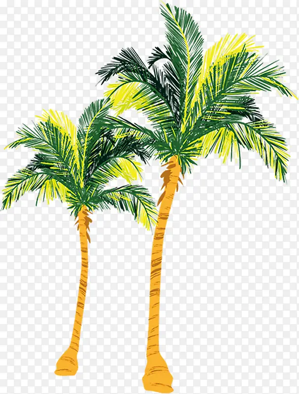 植物绿色沙滩椰子树