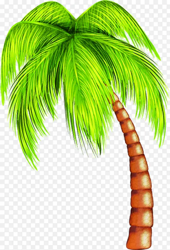 手绘夏日卡通沙滩椰子树