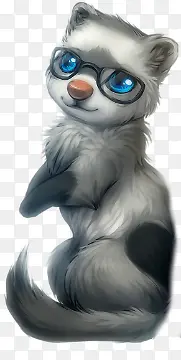 戴眼镜的猫咪