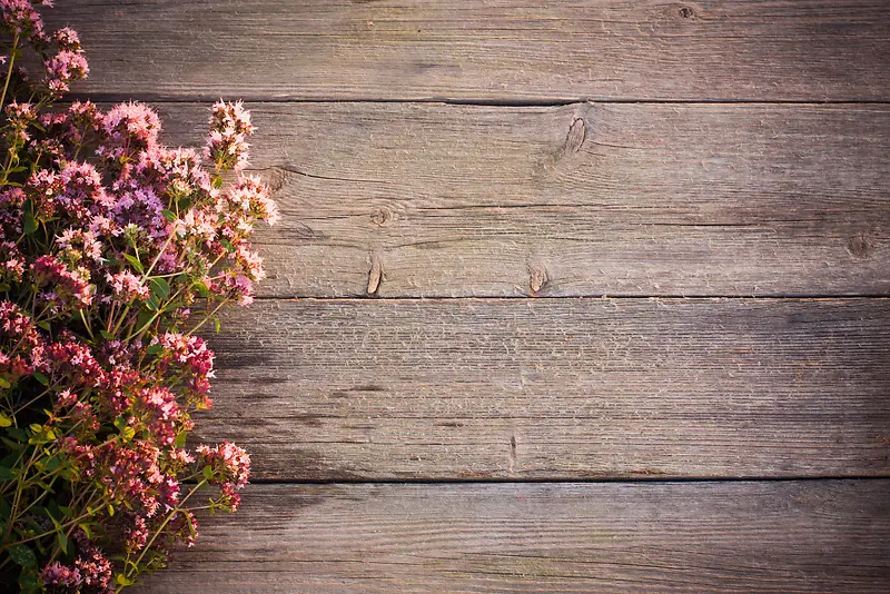 鲜花与木板背景