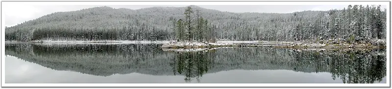 冬季的松树林湖面