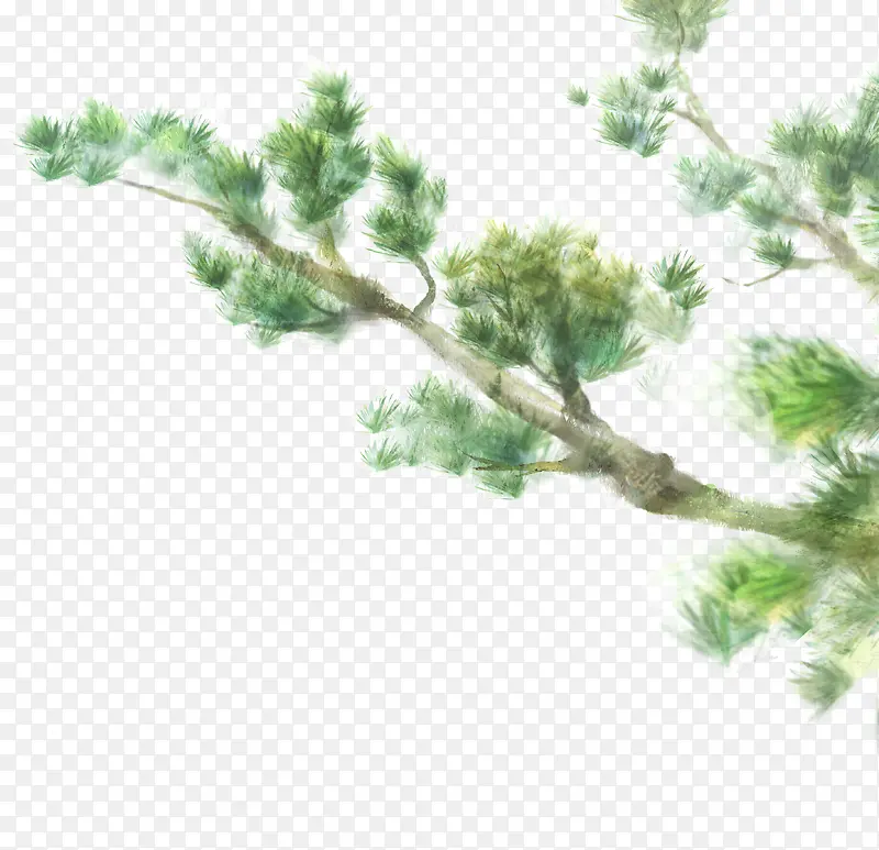 手绘绿色松树美景