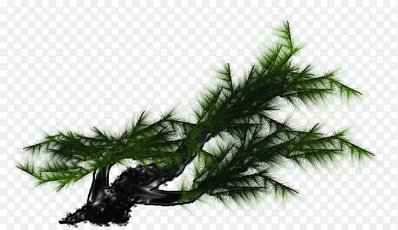 手绘绿色植物松树