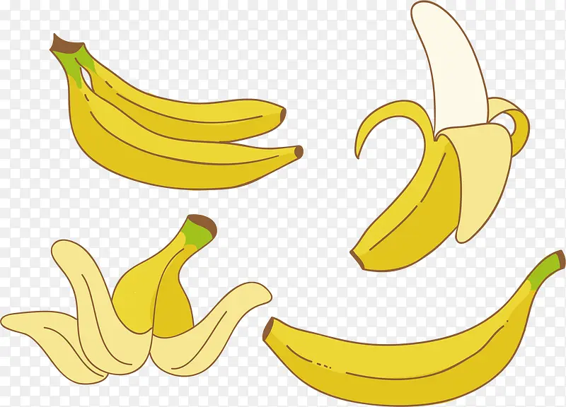 矢量手绘香蕉