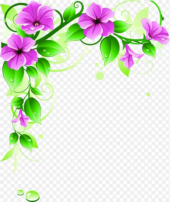 紫色鲜花植物花藤