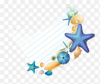 贝壳海星