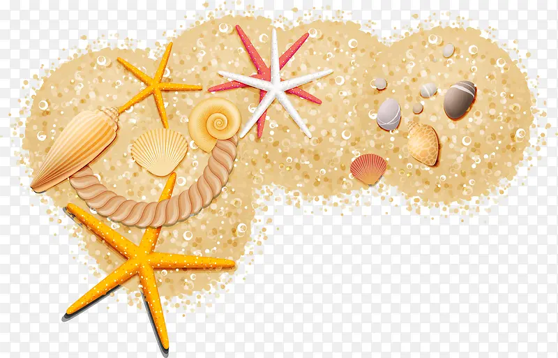 贝壳海星沙矢量图