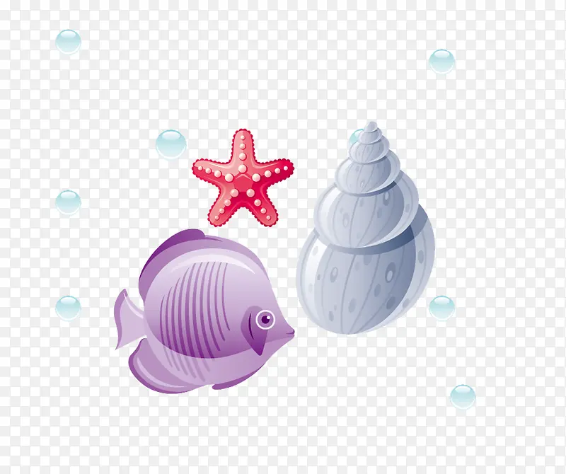 小鱼海螺海星