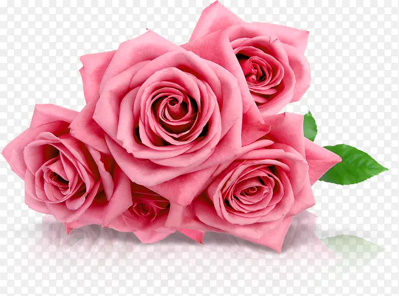 粉色甜蜜玫瑰花朵
