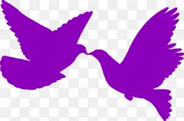 紫色亲吻卡通鸽子