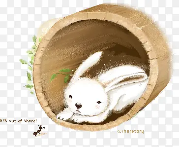 可爱的兔子在空心树里