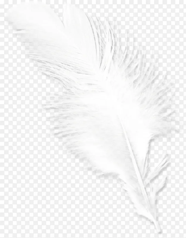 白色手绘唯美羽毛