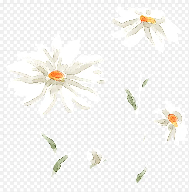 白色手绘菊花美景装饰