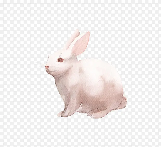白色手绘兔子