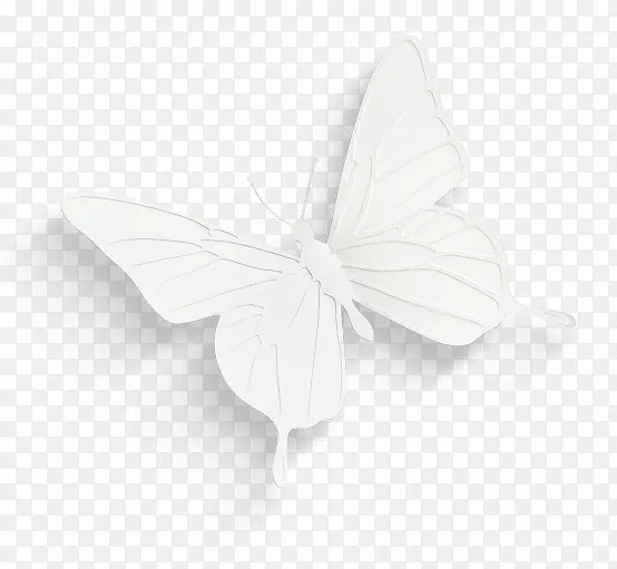 手绘白色卡通蝴蝶