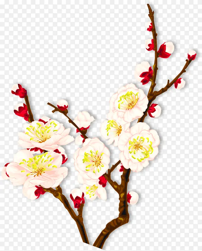 手绘合成水彩白色的桃花效果