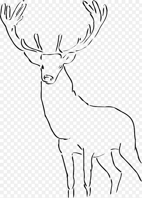手绘的简单手绘的鹿
