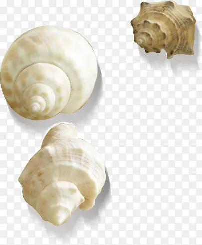 海螺