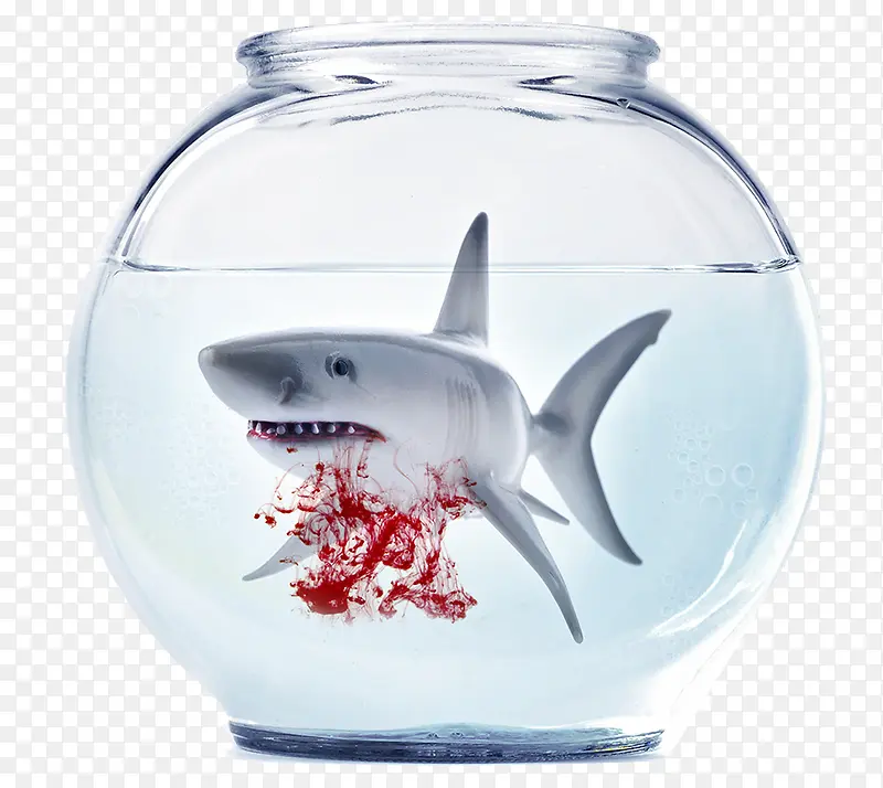 嗜血的大白鲨