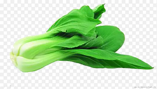 绿色大白菜