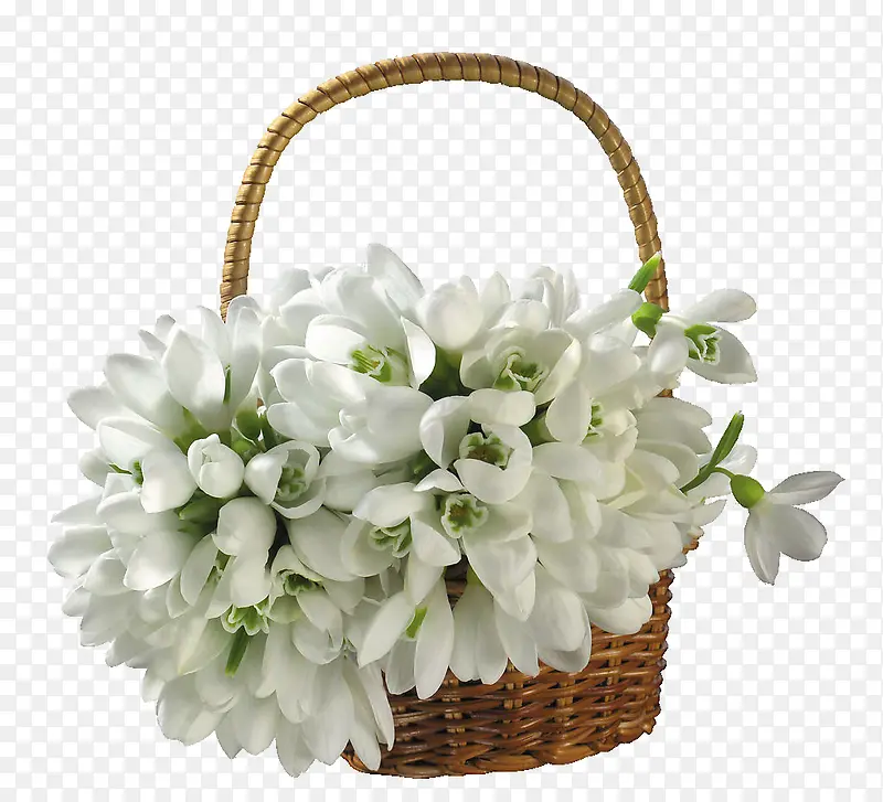 一篮子白花