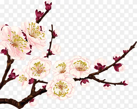 中国风一枝花