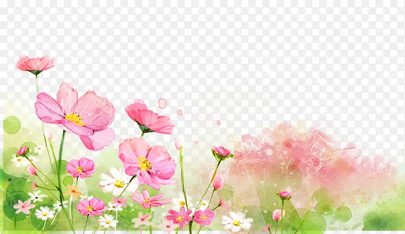 手绘花朵