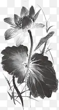 创意中国风笔墨植物花朵